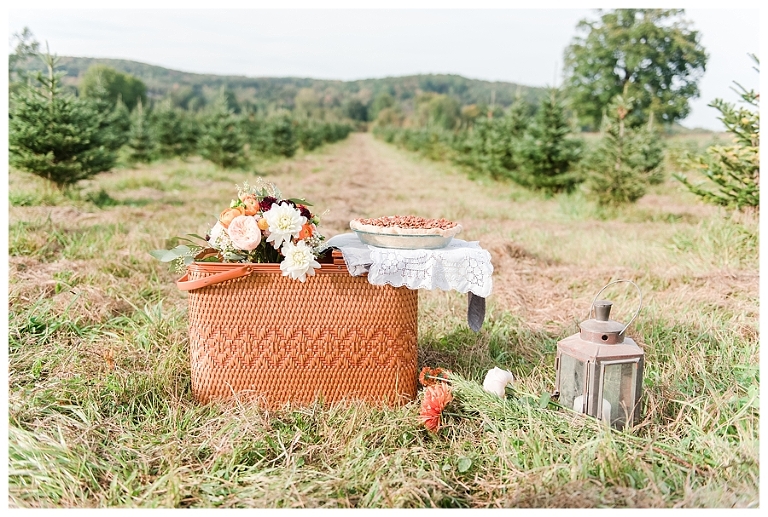 Finger Lakes Commercial Photography,Holly Green,Ithaca Commercial Photography,Magazine Cover Story,Norabloom,Perpetual You,Styled shoot,