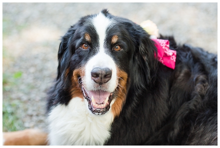 Cornell Wedding,Finger Lakes Wedding,Ithaca Wedding Photographer,John Joseph Inn,John Joseph Inn Wedding,Syracuse Wedding Photographer,Syracuse Wedding Photography,ithaca wedding photography,