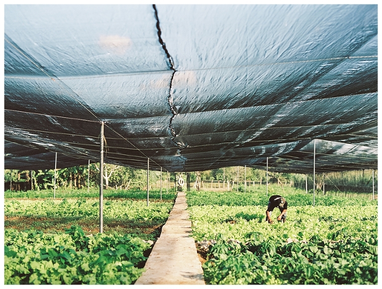 Cuba Photography,film,