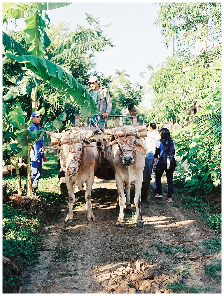 Cuba Photography,film,