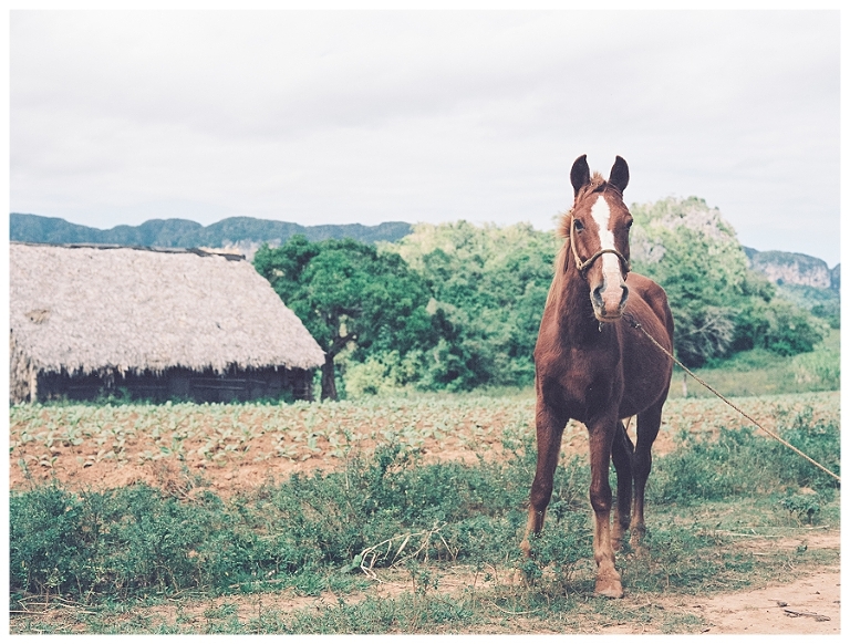 Cuba Photography,film,