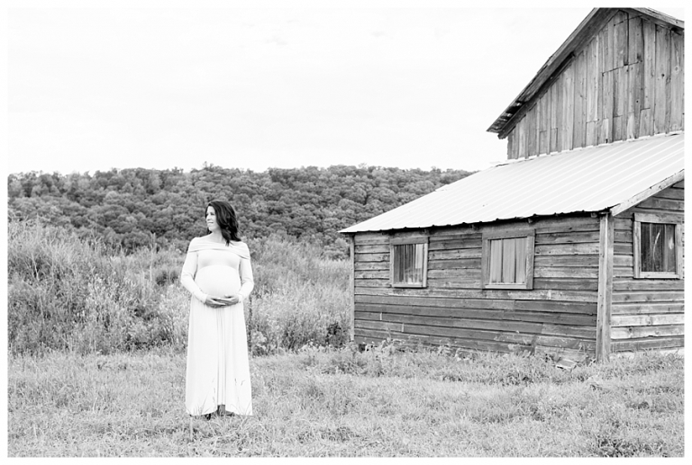 Blacksburg Baby Photography,Blacksburg Maternity Photography,Farm Maternity Photos,Roanoke Baby Photography,Roanoke Maternity Photography,Weimaraner,