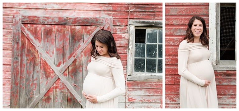 Blacksburg Baby Photography,Blacksburg Maternity Photography,Farm Maternity Photos,Roanoke Baby Photography,Roanoke Maternity Photography,Weimaraner,