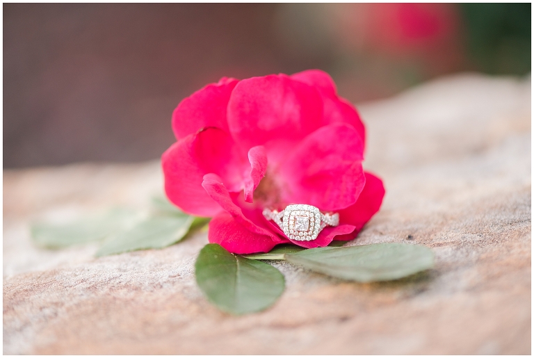 Blacksburg Engagement Photography,Roanoke Engagement Photography,Smith Mountain Lake Engagement,