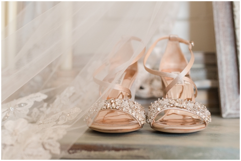 Blacksburg Wedding Photographer,Roanoke Wedding Photographer,Sinkland Farms,Sinkland Farms Engagement,Sinkland Farms Wedding,Virginia Barn Wedding,Virginia Wedding Photographer,