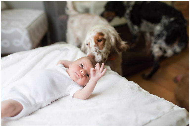 Blacksburg Newborn Photographer,Ithaca Newborn photographer,Roanoke Newborn Photographer,
