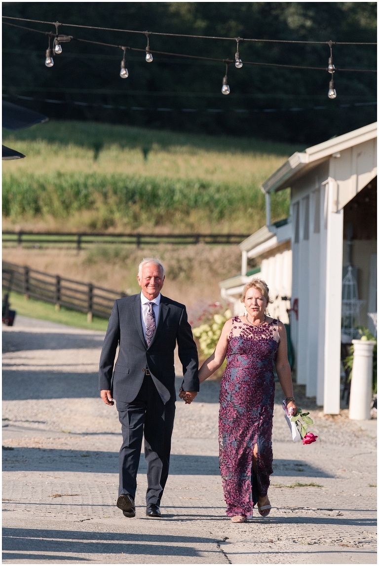 Barn Wedding Virginia,Blacksburg Wedding Photographer,Farm Wedding Virginia,Roanoke Wedding,Roanoke Wedding Photographer,Sinkland Farms,Sinkland Farms Engagement,Sinkland Farms Wedding,farm,
