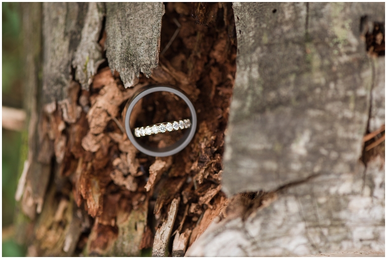 Blacksburg Wedding Photographer,Charlottesville Wedding Photographer,Montfair Resort,Montfair Wedding,Roanoke Wedding,Roanoke Wedding Photographer,charlottesville engagement photography,
