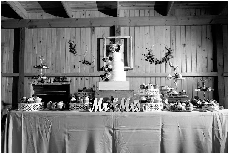 Blacksburg Wedding Photographer,Glenburn Farm Wedding,On the Glen at Glenburn,Roanoke Farm Wedding,Roanoke Wedding Photographer,