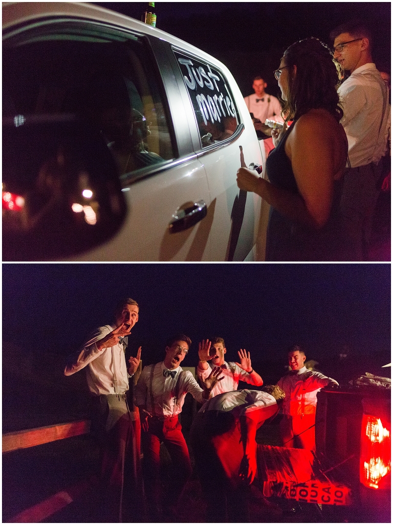 Beliveau Winery,Beliveau Winery Wedding,Blacksburg Wedding Photographer,Charlottesville Wedding Photographer,Michelle Turek Photography,Roanoke Wedding Photographer,Virginia Winery Wedding,