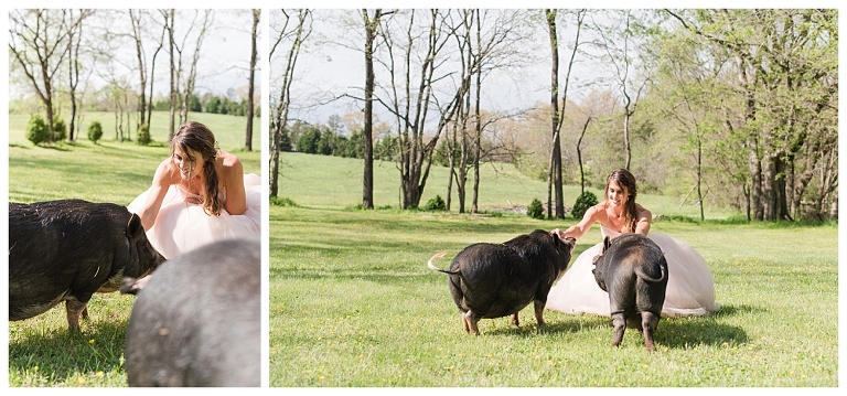 Barn Wedding Virginia,Country Wedding,Horse Wedding,Lynchburg Wedding Photographer,Roanoke Wedding Photographer,Virginia Wedding Photographer,