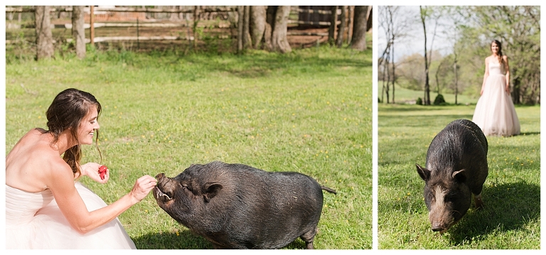 Barn Wedding Virginia,Country Wedding,Horse Wedding,Lynchburg Wedding Photographer,Roanoke Wedding Photographer,Virginia Wedding Photographer,