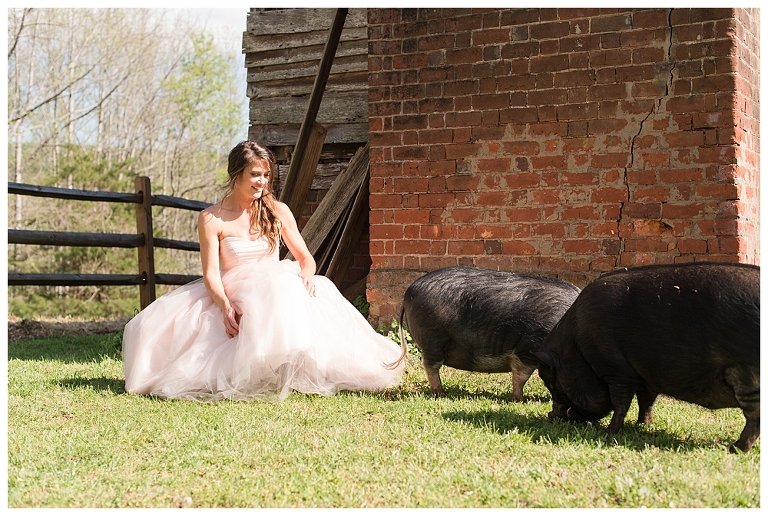 Barn Wedding Virginia,Country Wedding,Horse Wedding,Lynchburg Wedding Photographer,Roanoke Wedding Photographer,Virginia Wedding Photographer,